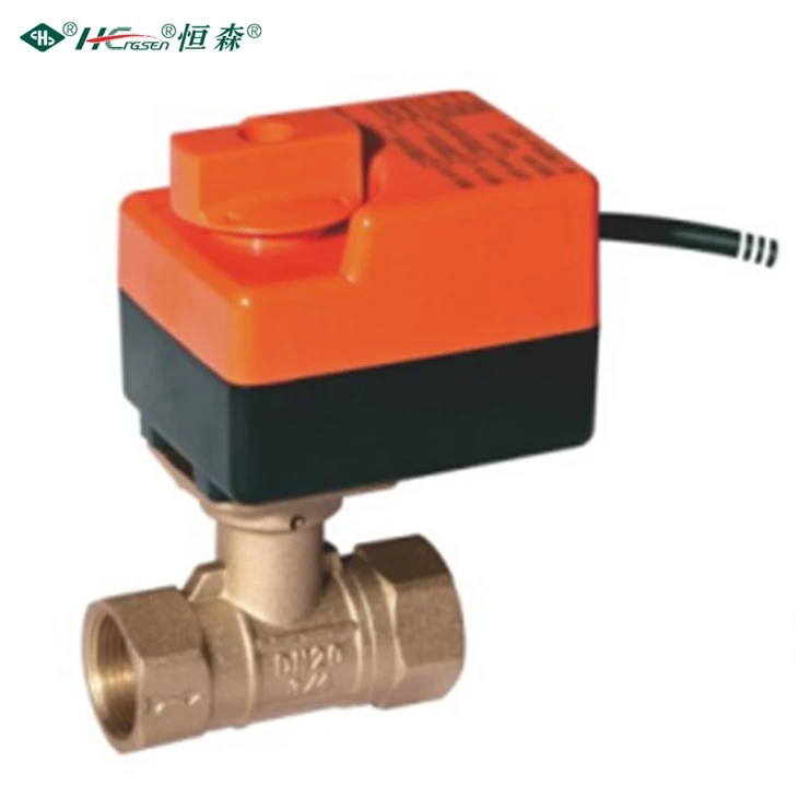 Electric Globe Valve