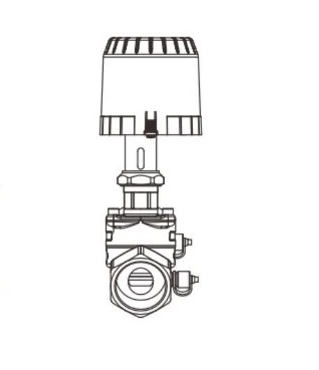 Dynamically balanced electric control valve Dynamically balanced electric control valve