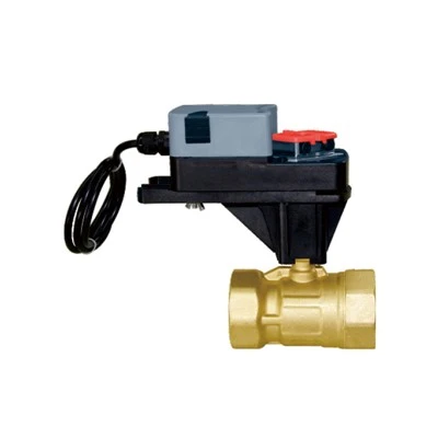 Timer Controlled Motorized Ball Valve